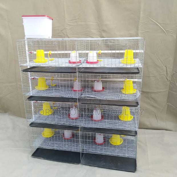 Chicks Brooding Cage - thumbnail 2