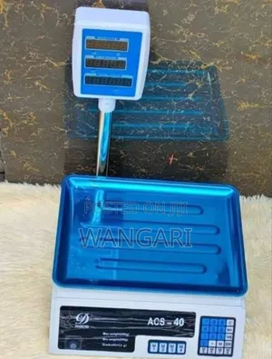 Acs40 Weighing Scale With Arm