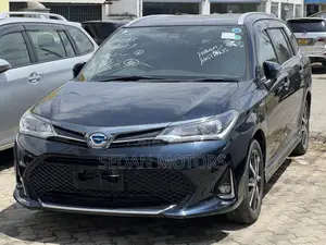 Toyota Corolla Fielder 2019 Black