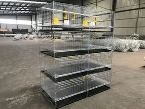 Chicken Brooders