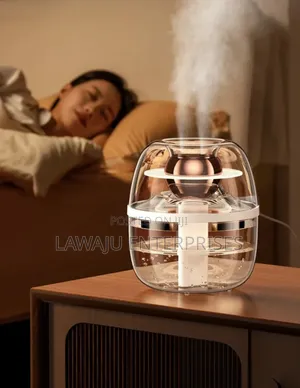 Dual Mist Humidifier