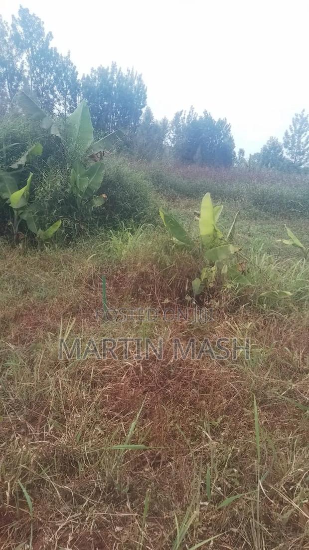 Plots for Sale - thumbnail 4