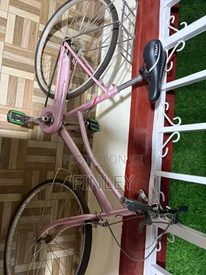 Pink Bicycle
