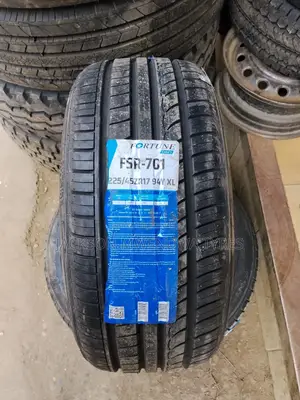 225/45r17 Fortune Tyre