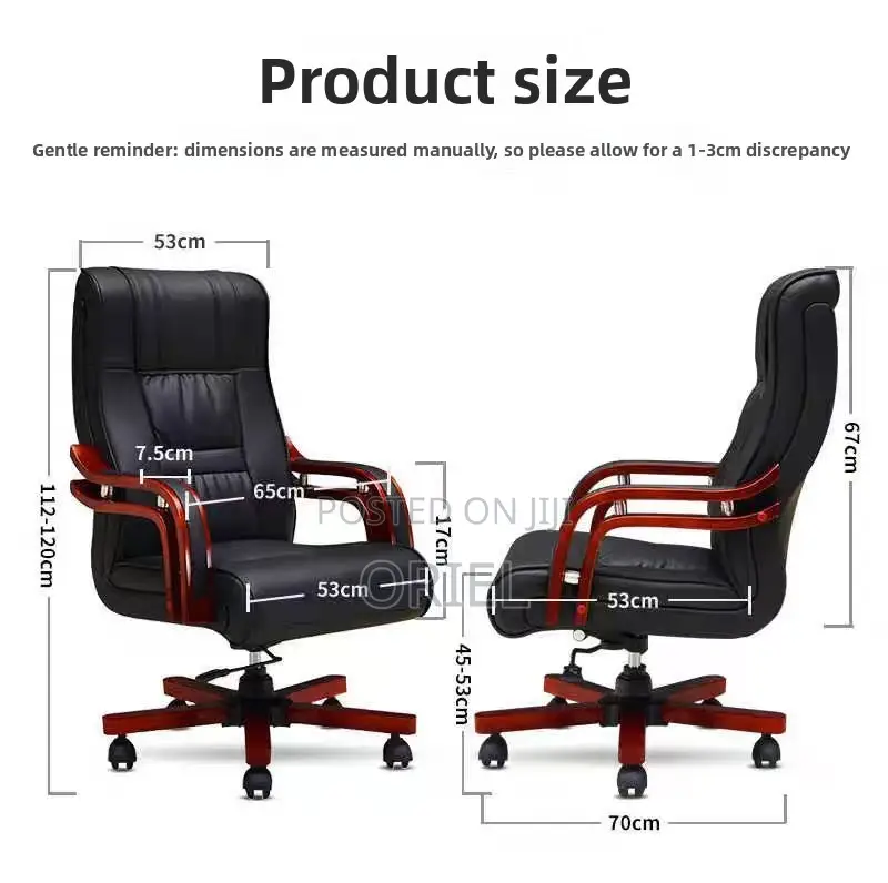 Office Chairs; Bliss Modern Ergonomic Executive Office Work Chair