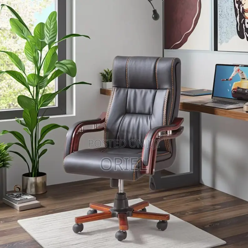 Office Chairs; Bliss Modern Ergonomic Executive Office Work Chair