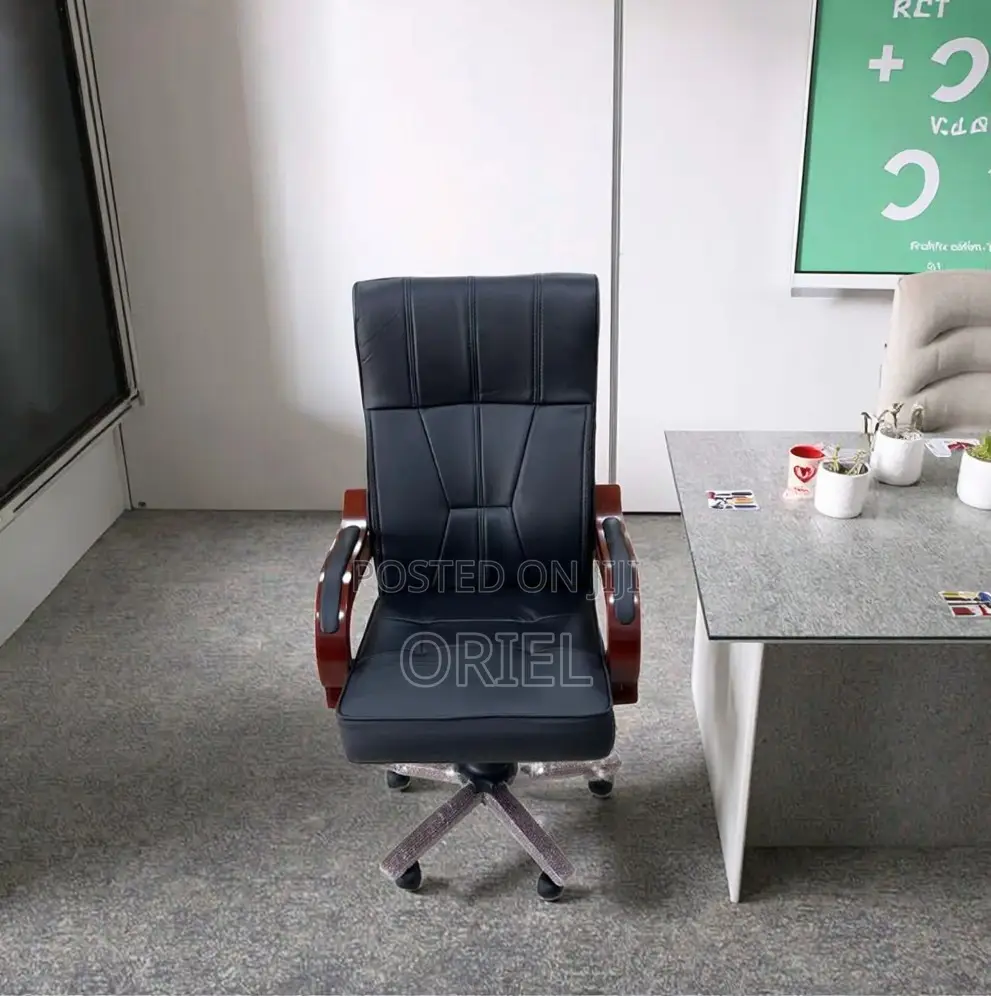 Office Chairs; Bliss Modern Ergonomic Executive Office Work Chair