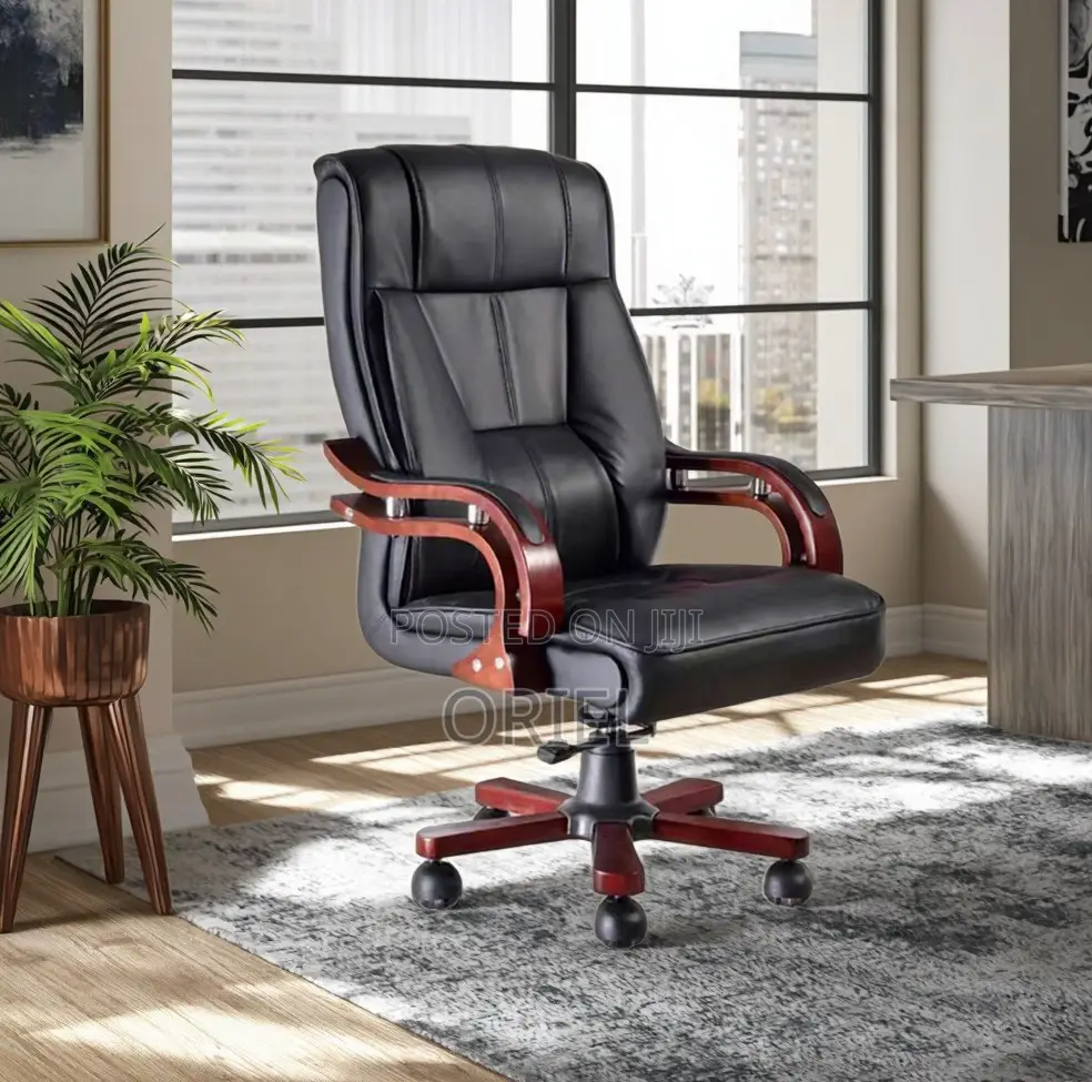 Office Chairs; Bliss Modern Ergonomic Executive Office Work Chair