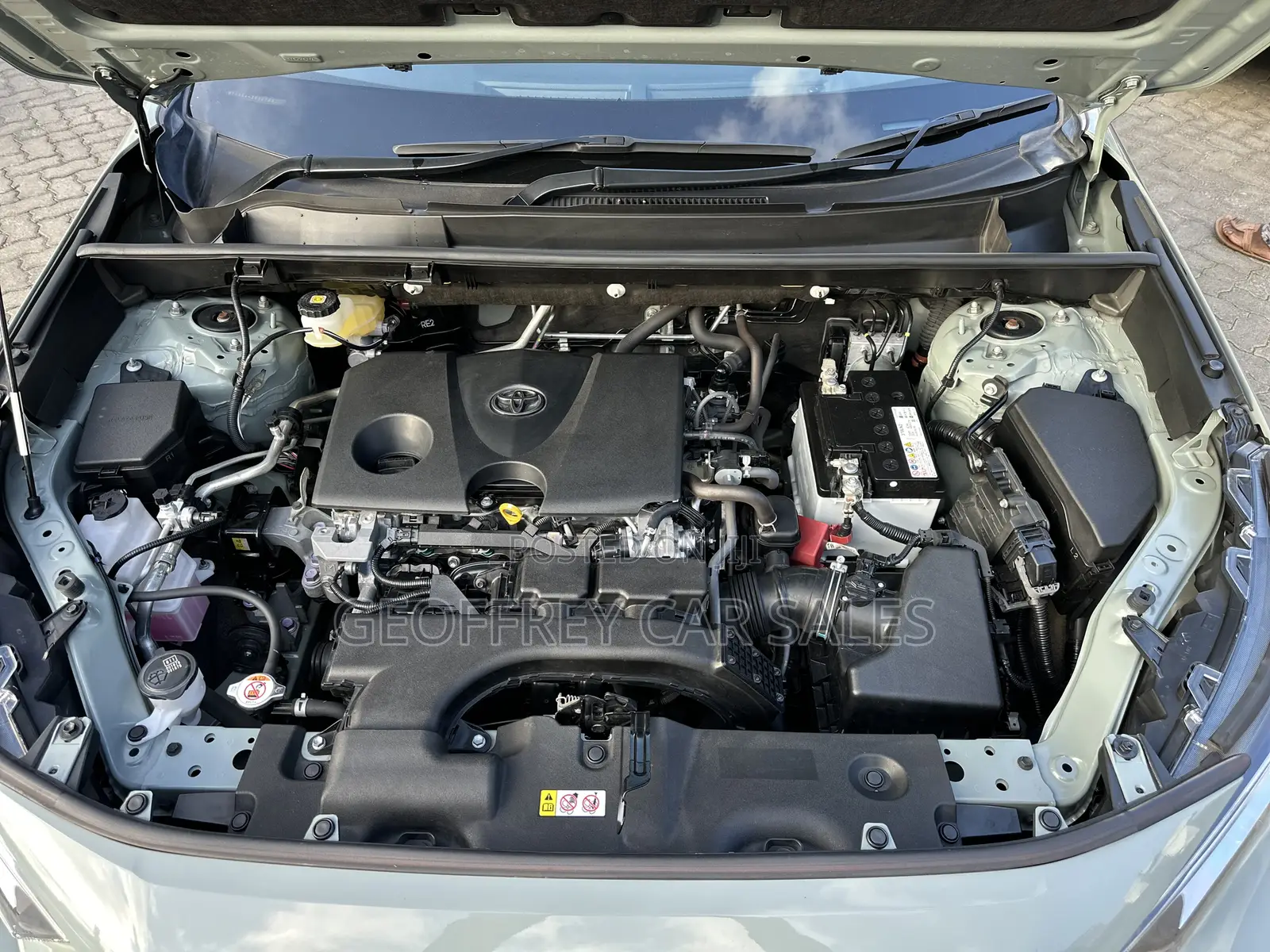 Toyota RAV4 2019 Green