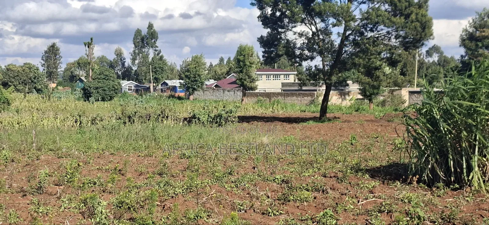 100x100 Available Residential Plot in Kikuyu Ng'amba