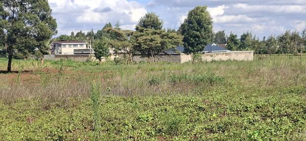 100x100 Available Residential Plot in Kikuyu Ng'amba - thumbnail 4