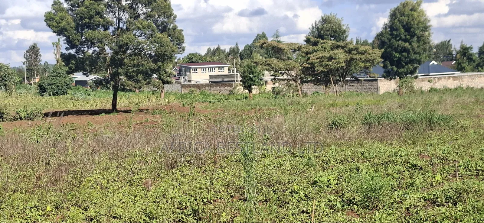100x100 Available Residential Plot in Kikuyu Ng'amba