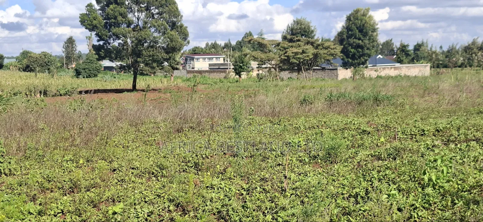 100x100 Available Residential Plot in Kikuyu Ng'amba