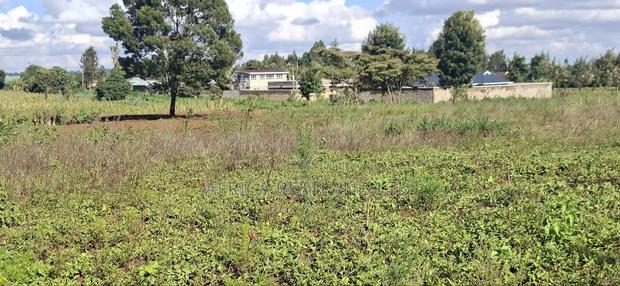 100x100 Available Residential Plot in Kikuyu Ng'amba - thumbnail 6