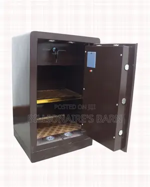 Fireproof Biometric Safe 70 Kg Programmable Keypad And Dual Alarm