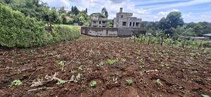 50x100 Available Plot in Muguga - main view