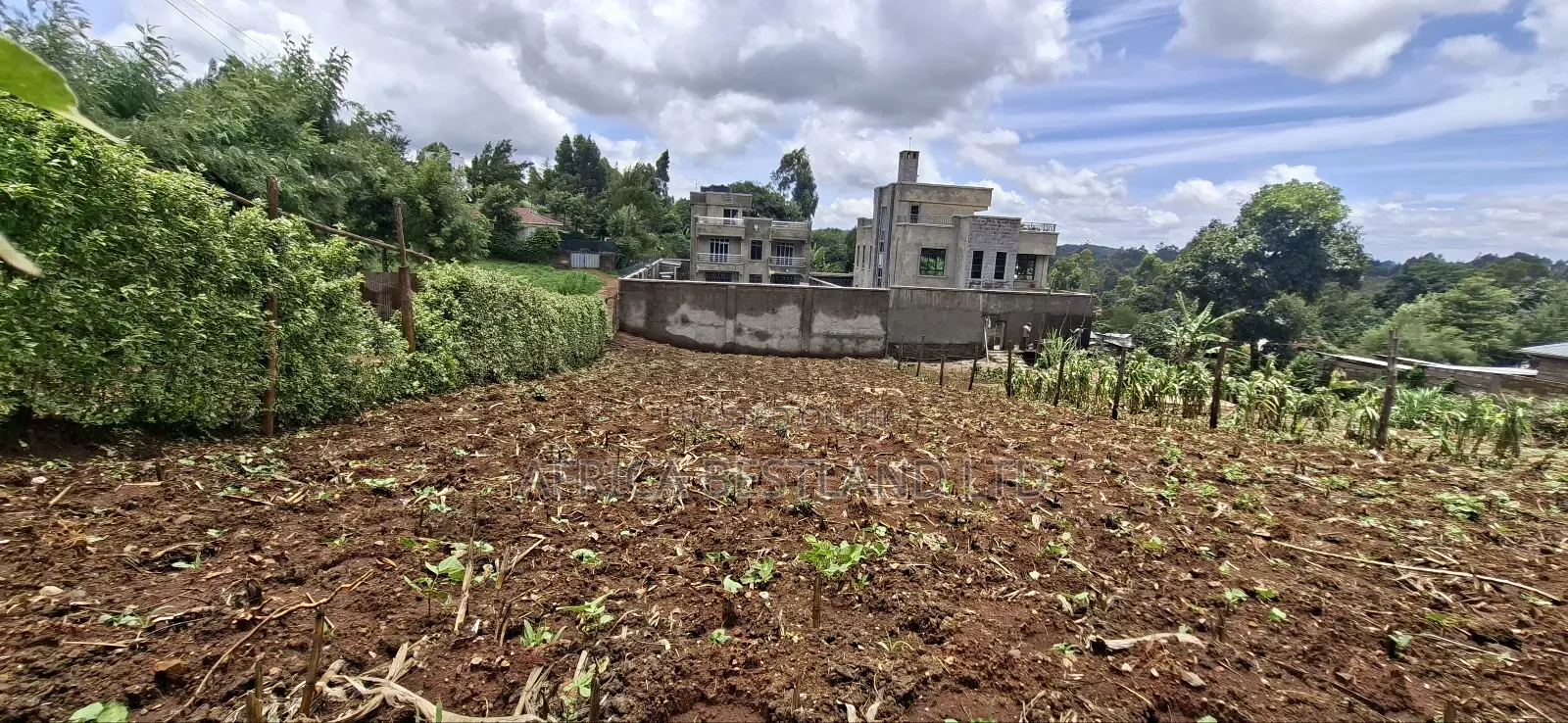50x100 Available Plot in Muguga