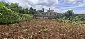50x100 Available Plot in Muguga