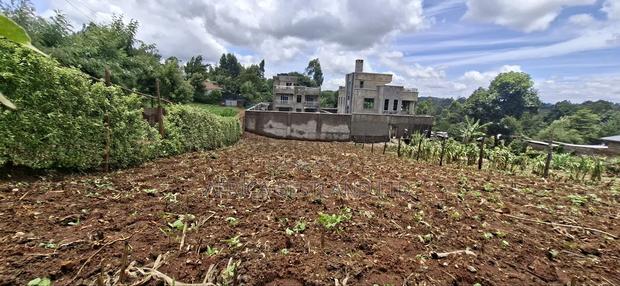 50x100 Available Plot in Muguga - thumbnail 2