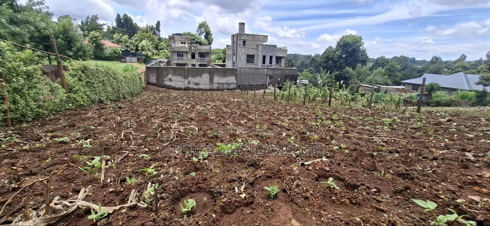 50x100 Available Plot in Muguga