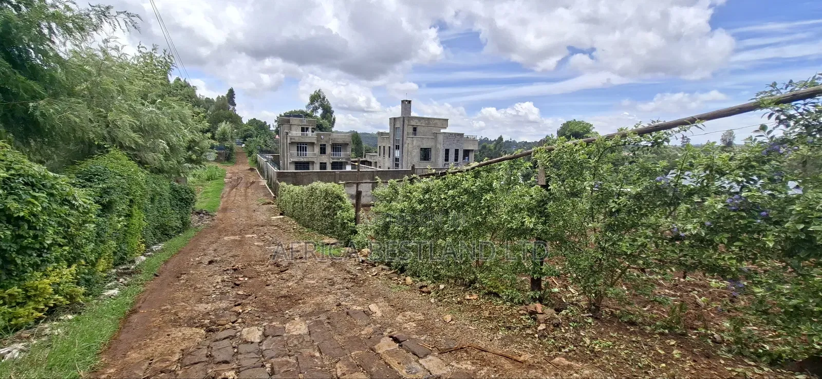 50x100 Available Plot in Muguga