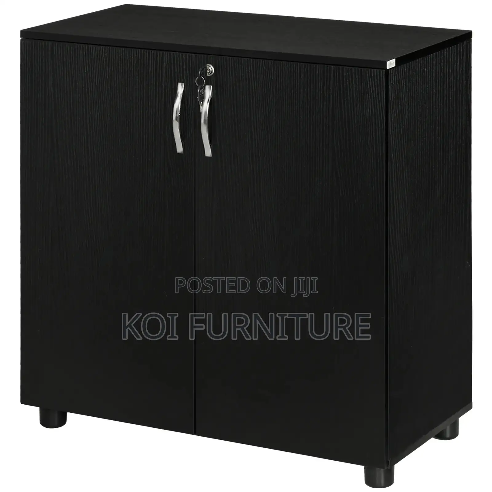 Office Cabinet : Lockable Office Storage Cabinet, 2 Door
