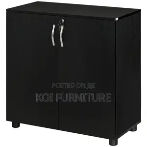 Office Cabinet : Lockable Office Storage Cabinet, 2 Door