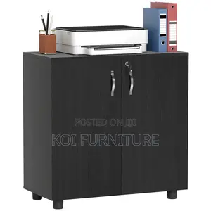 Office Cabinet : Lockable Office Storage Cabinet, 2 Door