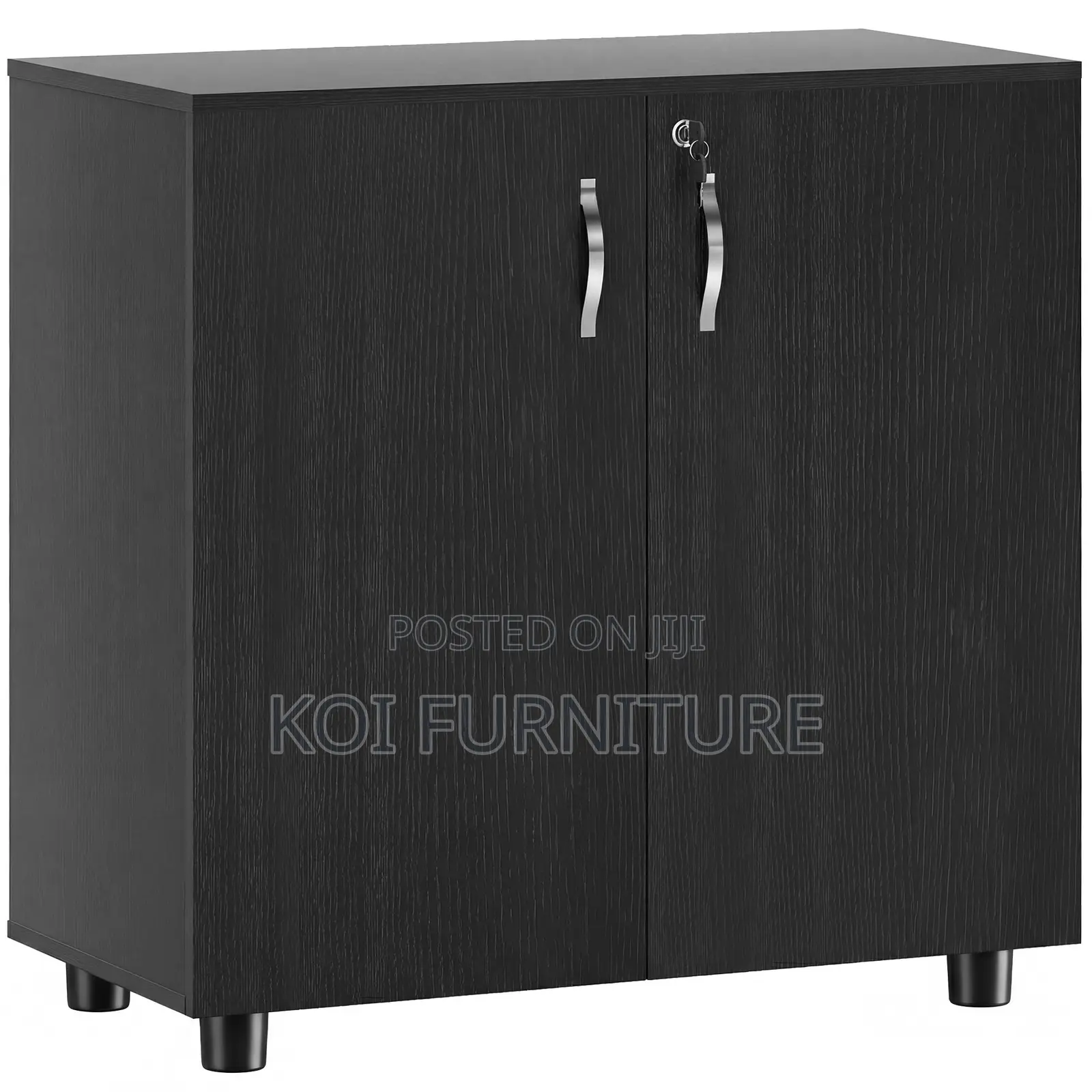 Office Cabinet : Lockable Office Storage Cabinet, 2 Door
