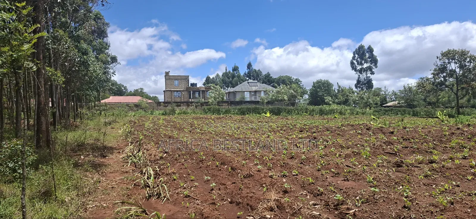 50x100 Available Residential Plot Gikambura Kamuyu Drive