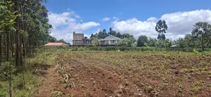50x100 Available Residential Plot Gikambura Kamuyu Drive