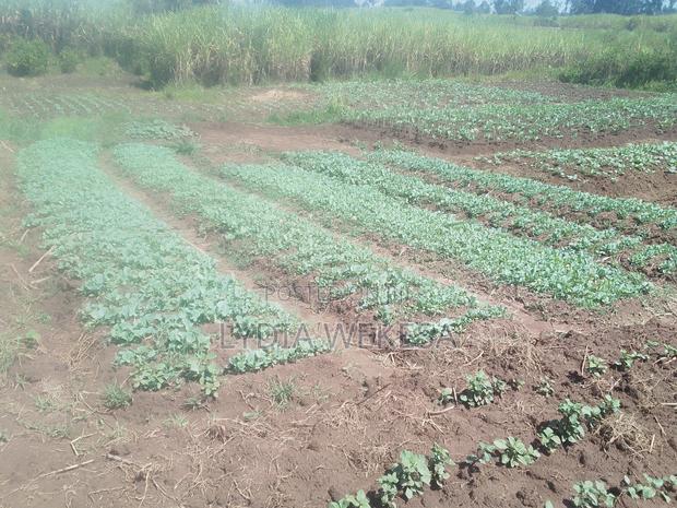 Agriculture - main view