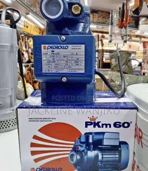 Pedrollo Water Pump / 0.5hp Pedrollo Water Pump Machine/ Pedrollo Pump