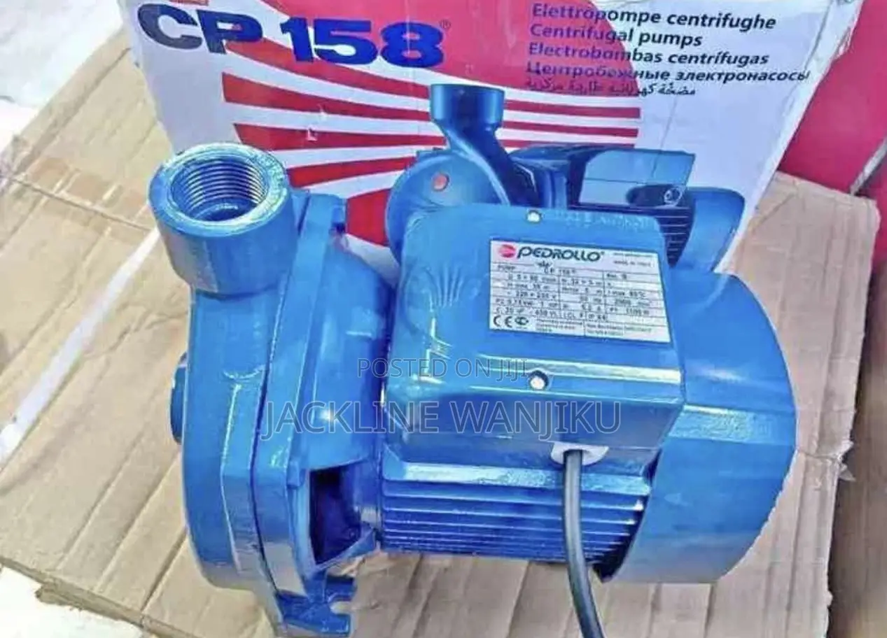 Pedrollo Water Pump 1hp / Cpm 158 Pedrollo Water Pump 1hp/ Pedrollo