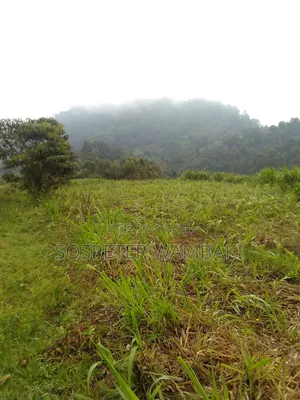 Land at Karima