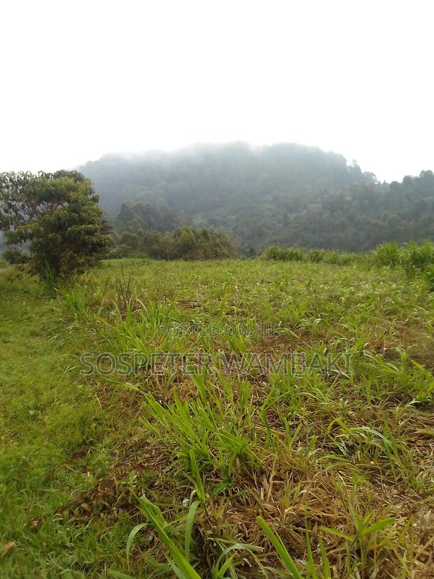 Land at Karima - main view