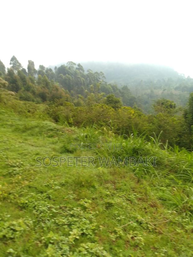 Land at Karima - thumbnail 3