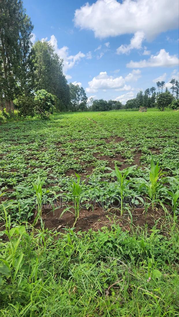 2 Acres Makutano Ya Mwea - thumbnail 3