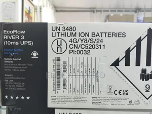 Ecoflow River 3 (10ms Ups)