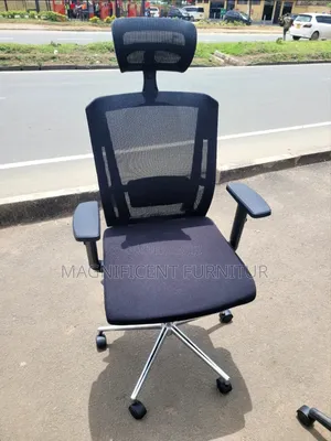 Orthopedic Office Chairs Murray