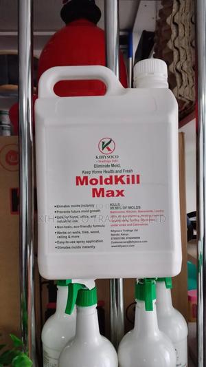 Moldkill Max Spray - 5 Litres