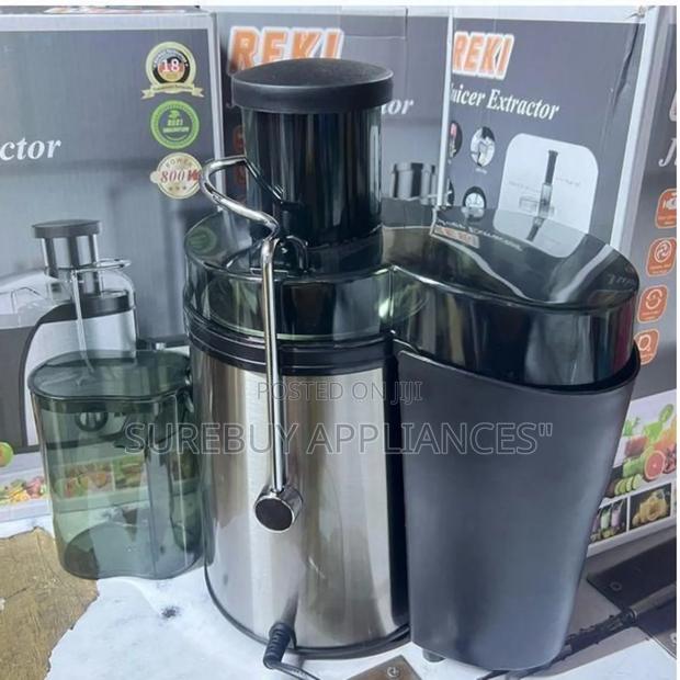 Reki 800w Juice Extractor High Power Fruit Vegetable Juicer - main view