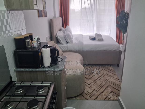 City Studio Parklands,Ngara - thumbnail 3