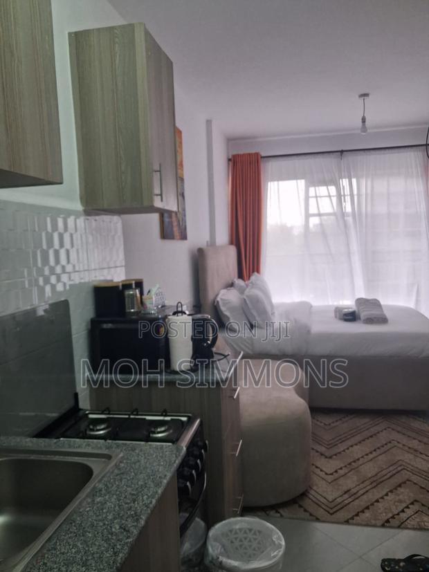 City Studio Parklands,Ngara - thumbnail 4