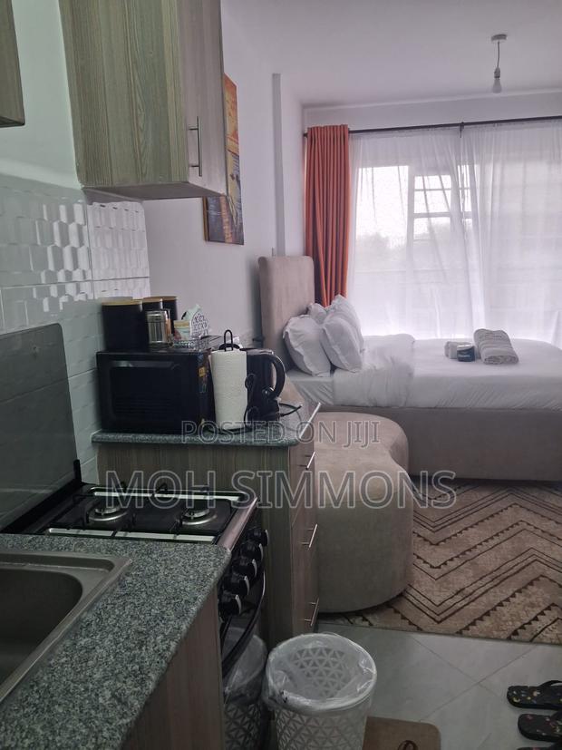 City Studio Parklands,Ngara - thumbnail 5