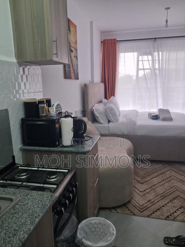 City Studio Parklands,Ngara - thumbnail 6