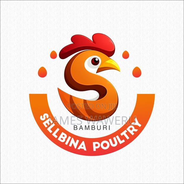 "Fresh Broiler Chicken From Sellbina Poultry! Wholesale Retail.