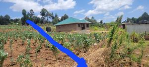 Plot for Sale Kinungi - thumbnail 2