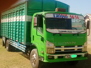 FRR/Fh/Canter Trucks Are Accessible for Errands and Logistics