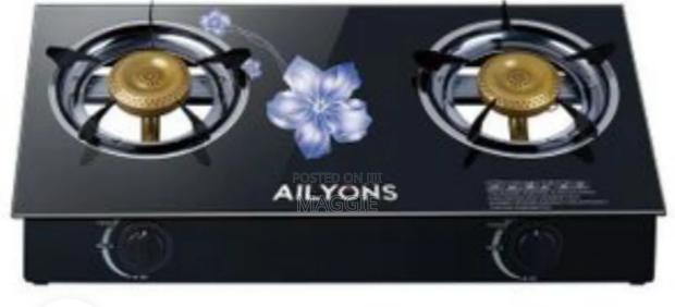 Ailyon 2burner Cooker - main view